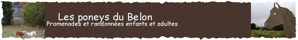 Les poneys du Belon